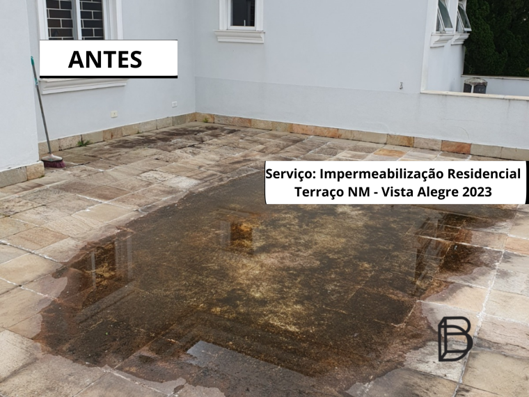 1ª Foto